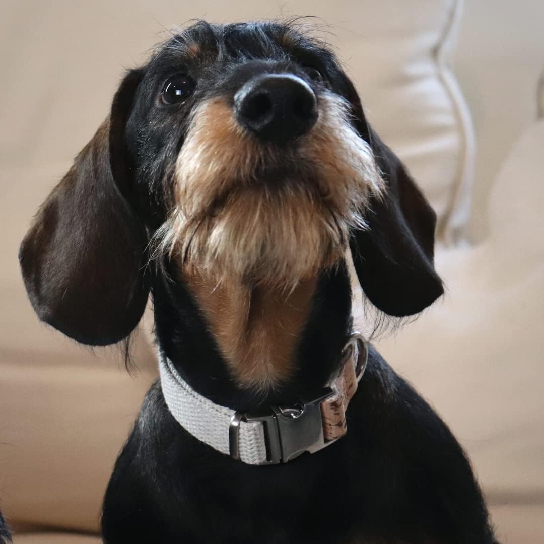 Collier en chanvre pour chien