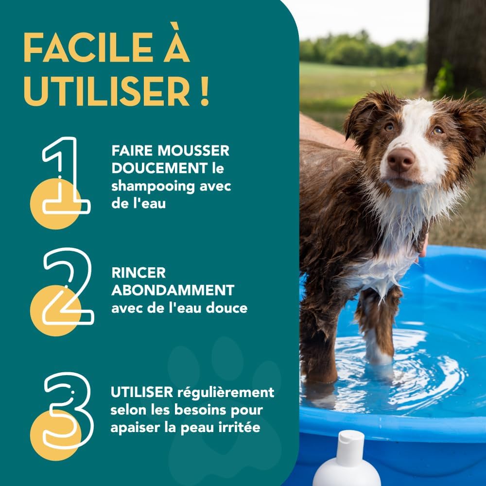 Shampoing naturel et biodégradable pour chien