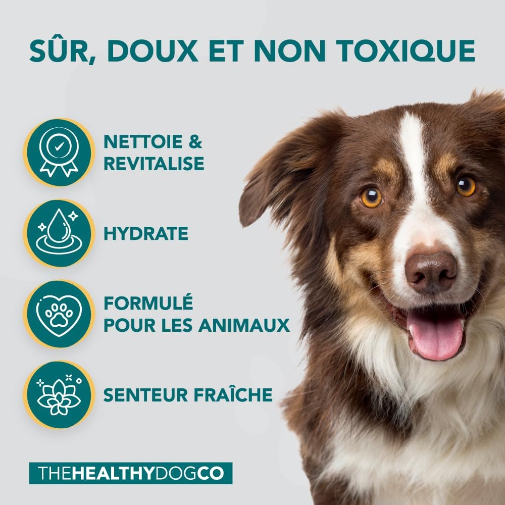 Shampoing naturel et biodégradable pour chien