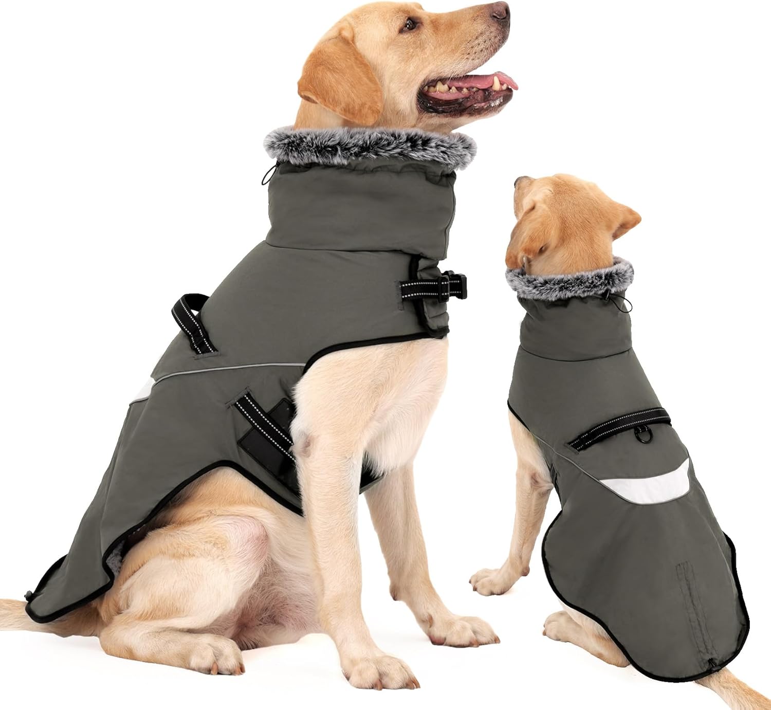 Manteau pour Chien imperméable avec Harnais