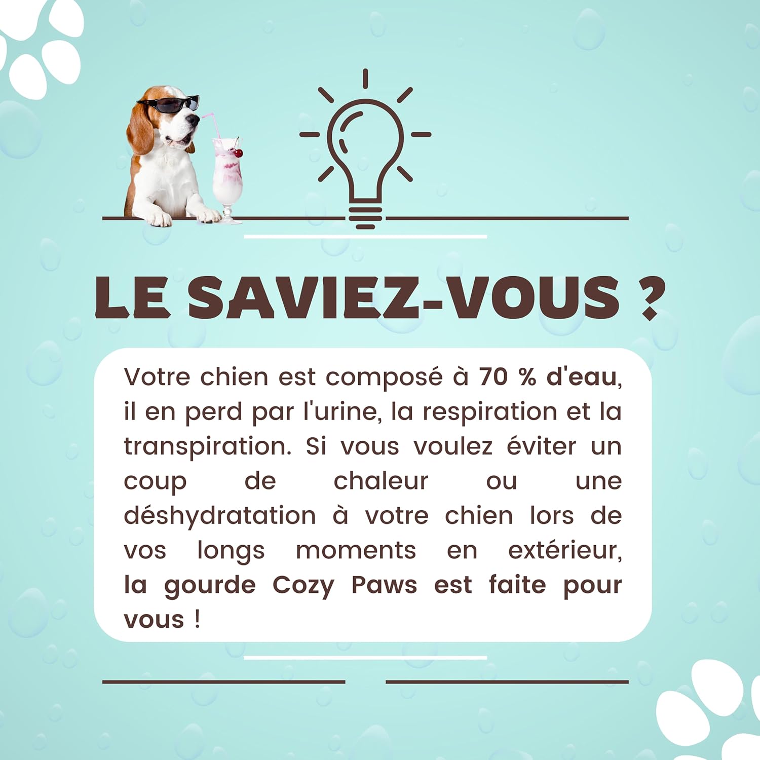 Gourde de voyage pliable pour chien, sans BPA