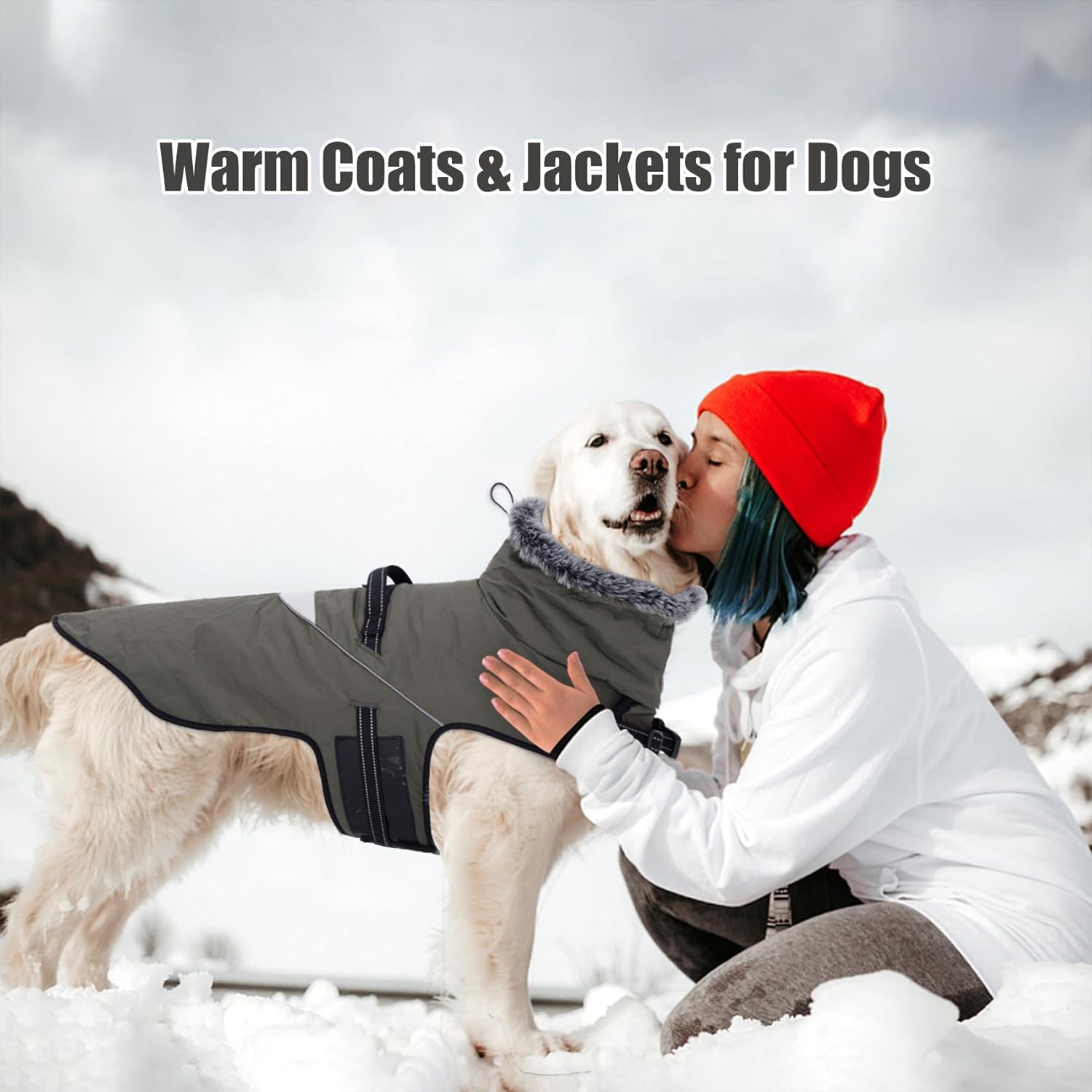 Manteau pour Chien imperméable avec Harnais