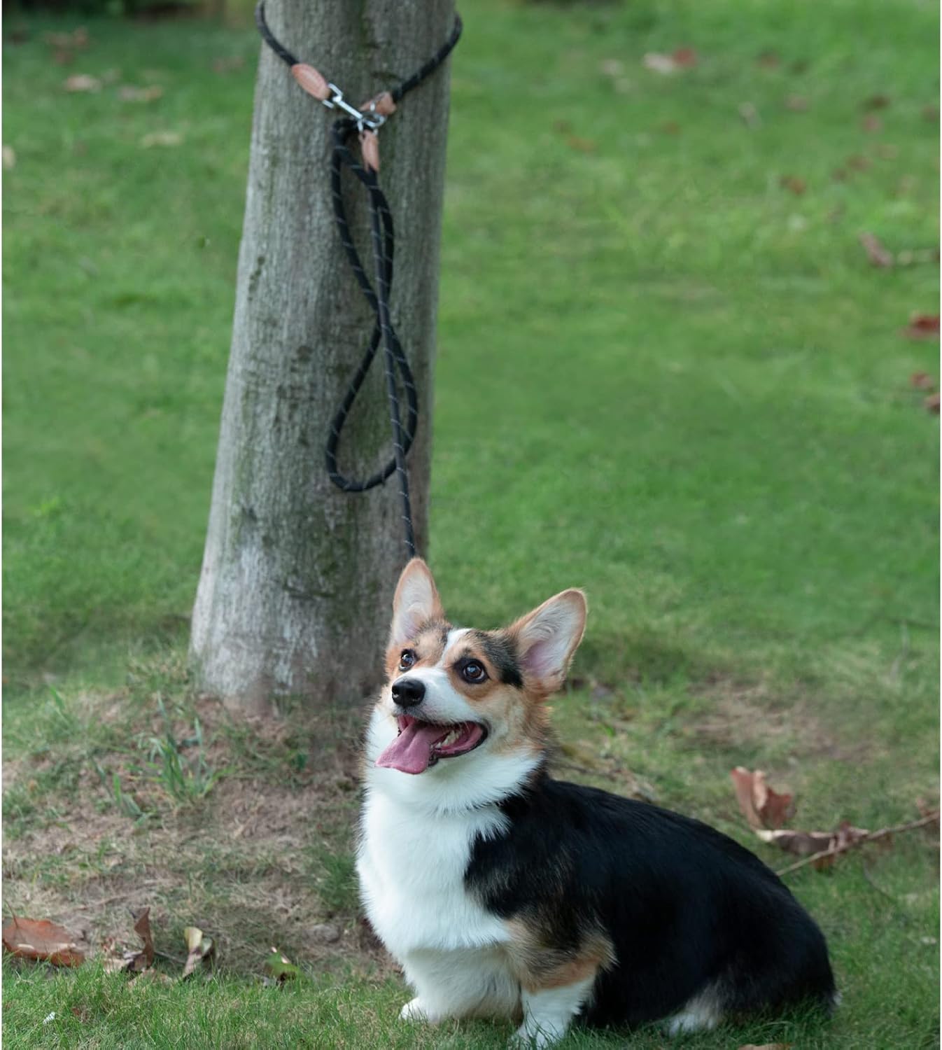 Laisse pour chien en matériaux recyclés