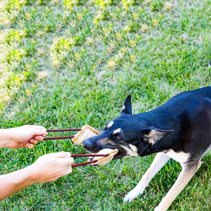 Jouet en corde de jute pour chien