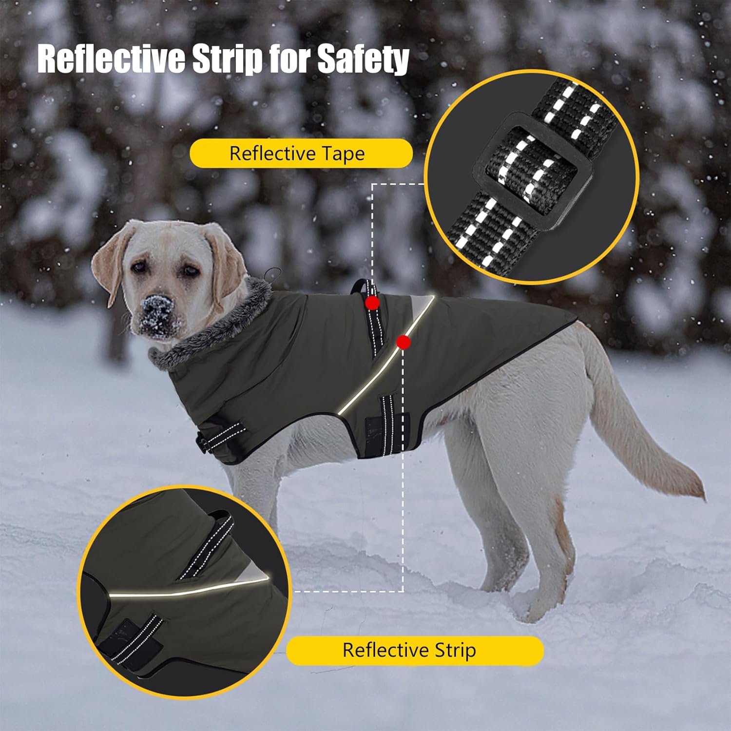 Manteau pour Chien imperméable avec Harnais