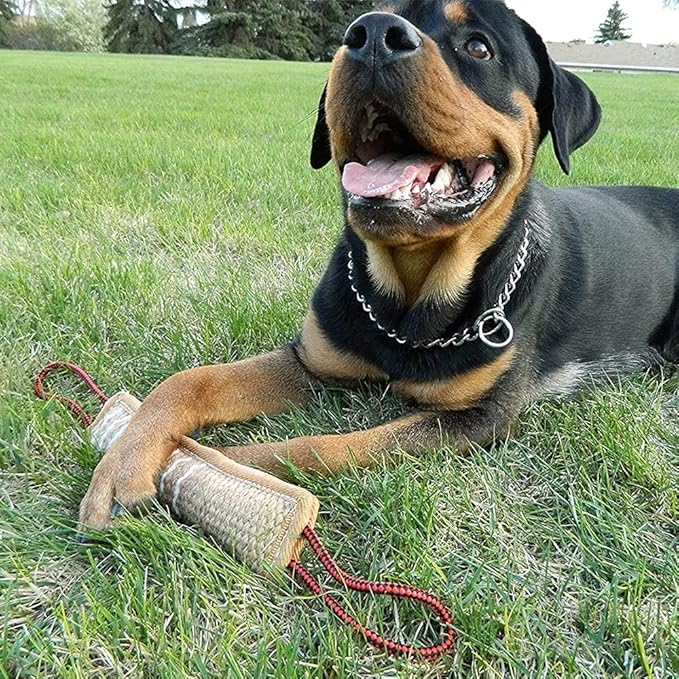 Jouet en corde de jute pour chien