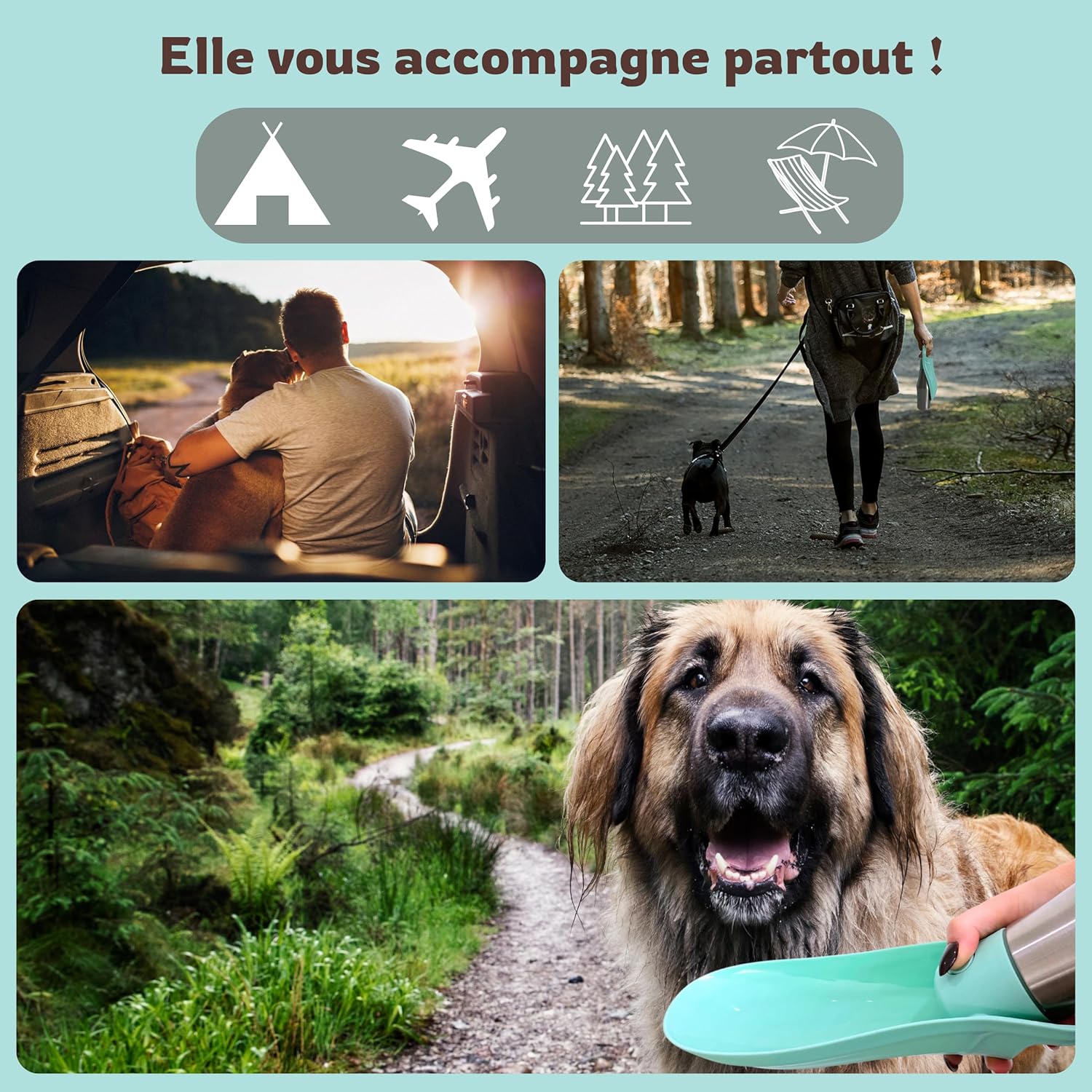 Gourde de voyage pliable pour chien, sans BPA