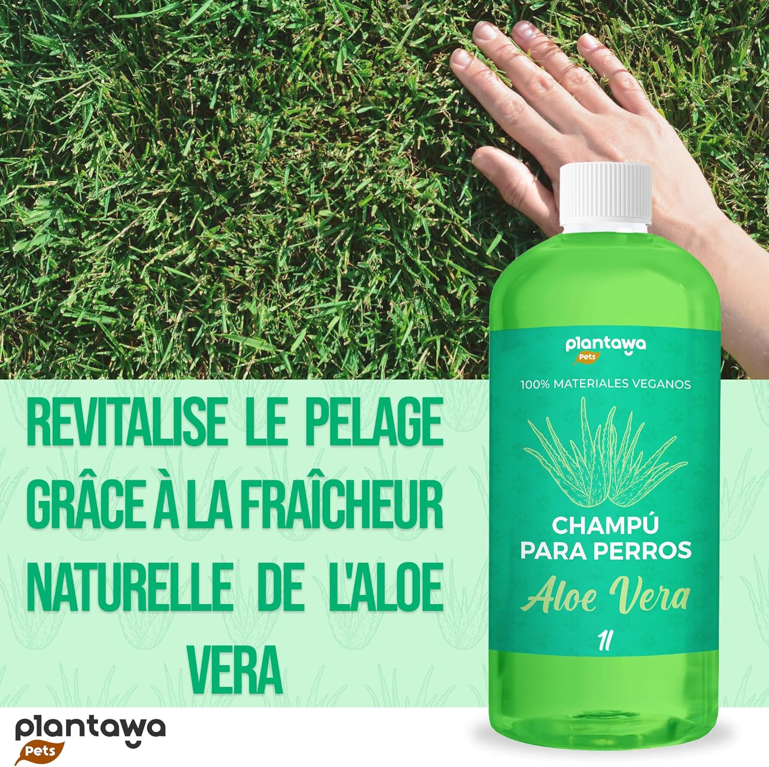 Shampooing bio pour chien, sans parabènes