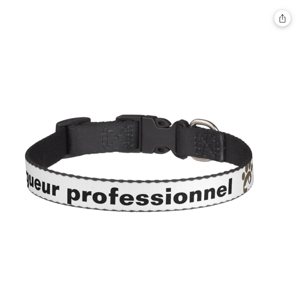 Collier pour chien personnalisé